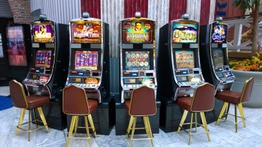 bettor Singapore Pools results interface on mobile